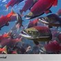 Ikan Salmon Di Indonesia Adalah